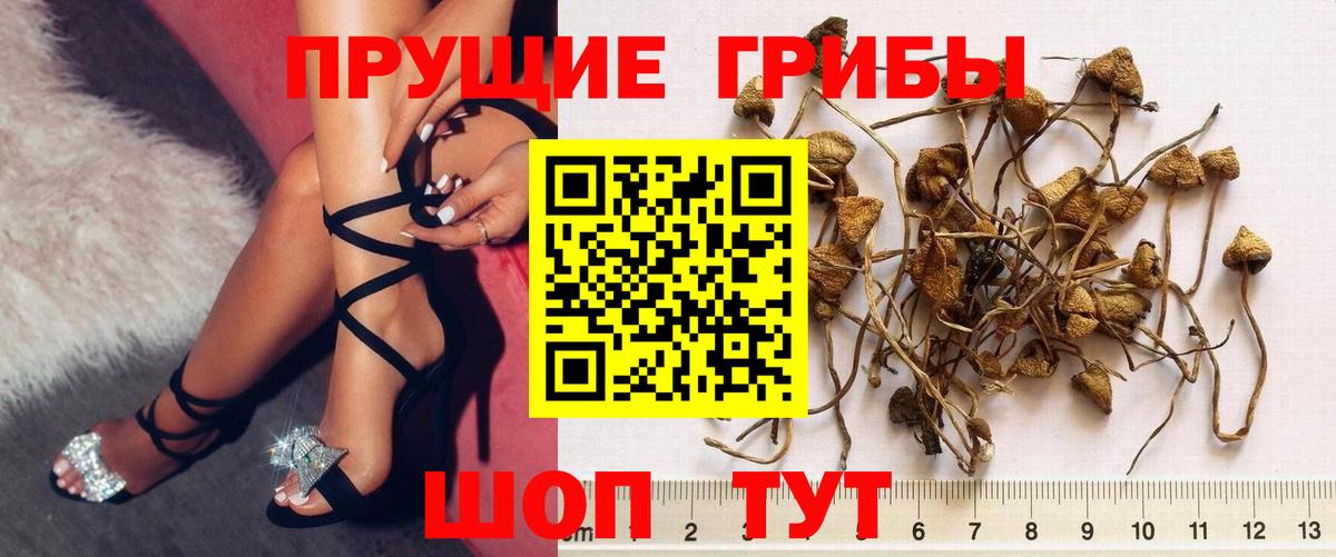Псилоцибиновые грибы ЛСД Моршанск