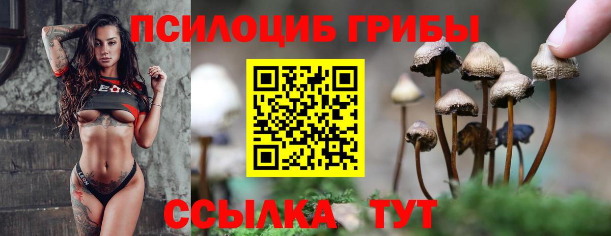 Галлюциногенные грибы Magic Shrooms  Псилоцибиновые грибы Psilocybe  Моршанск  Вход с VPN 